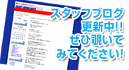 スタッフブログ